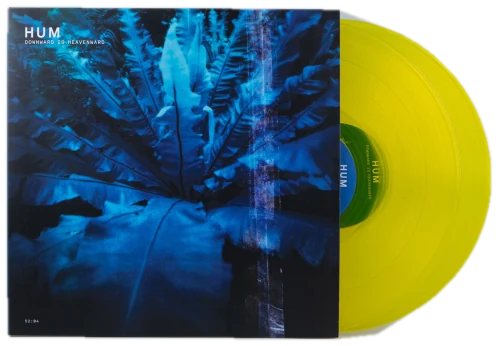 Downward Is Heavenward front cover, with a record