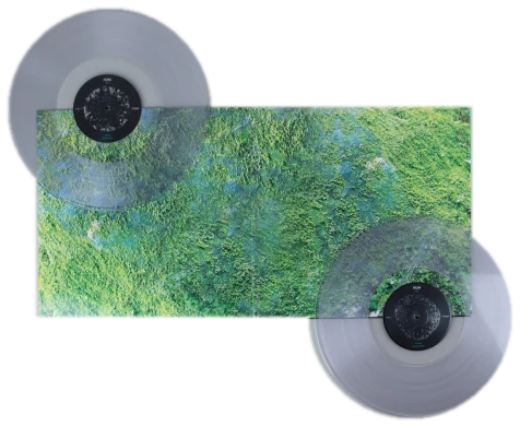 Inlet inner gatefold, with the two clear records